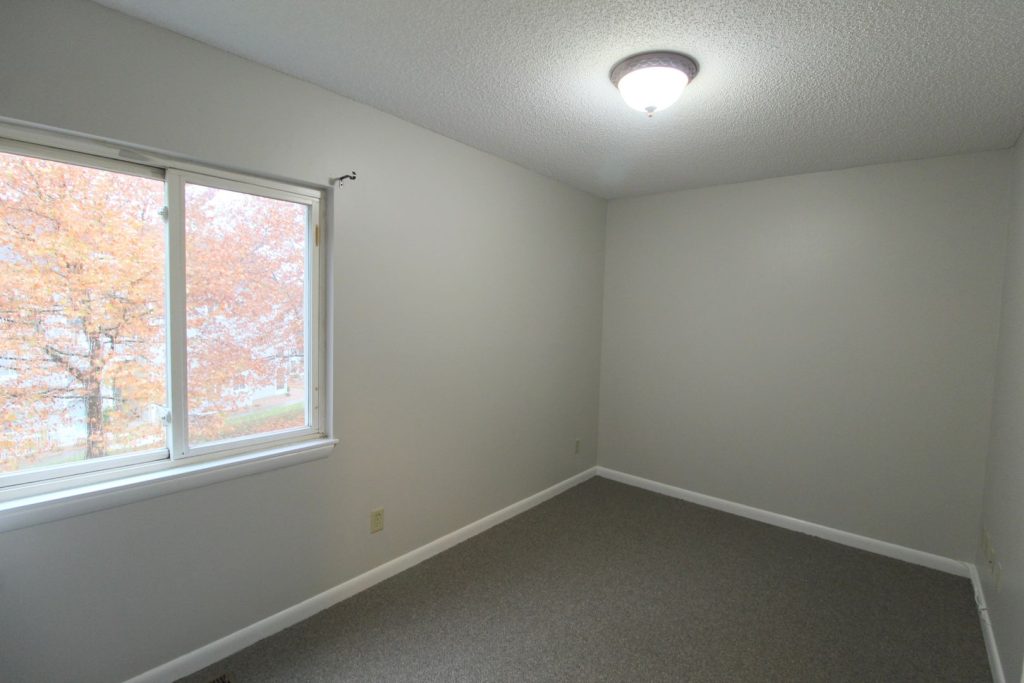large-146